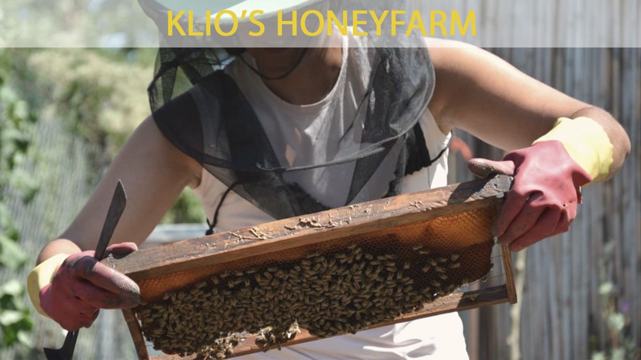 A local beekeeper at Clio's honeyfarm at Olympia Greece 